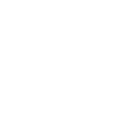 sec1 icon.png